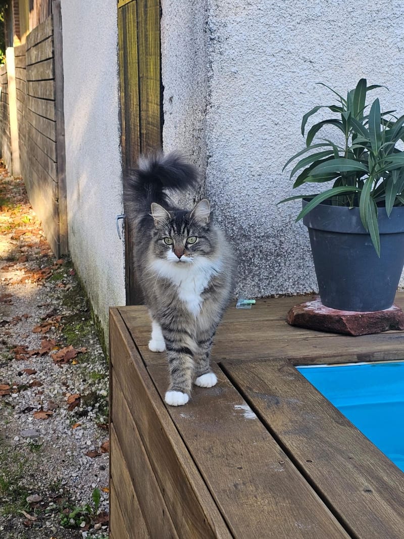 Fripouille est heureux dans sa Famille