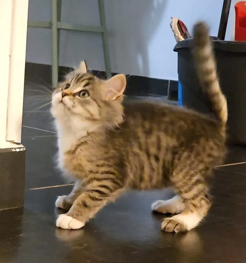 Fripouille est heureux dans sa Famille