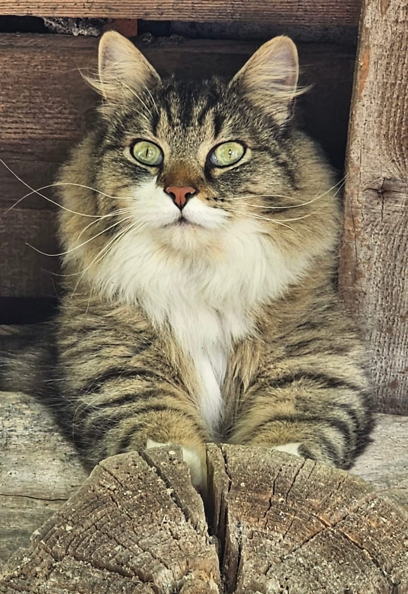 Fripouille est heureux dans sa Famille