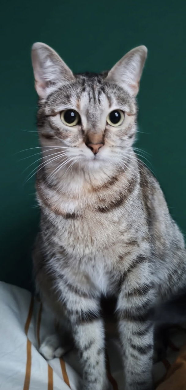 Naya à trouver son petit chez soi et à l'air bien avoir pris c'est marque.