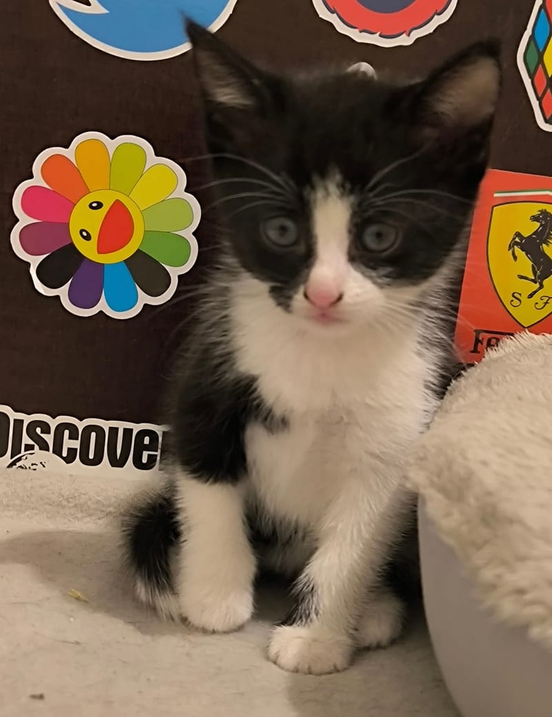 Benny