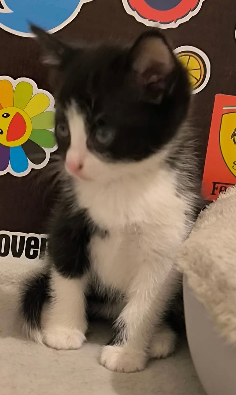 Benny