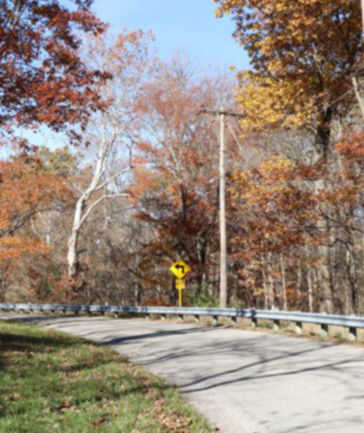 A road sign, a telephone pole and a line of trees sit behind a curve on a country road, 