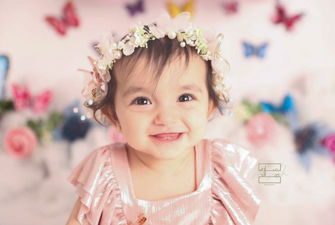 ثيم الفراشات 