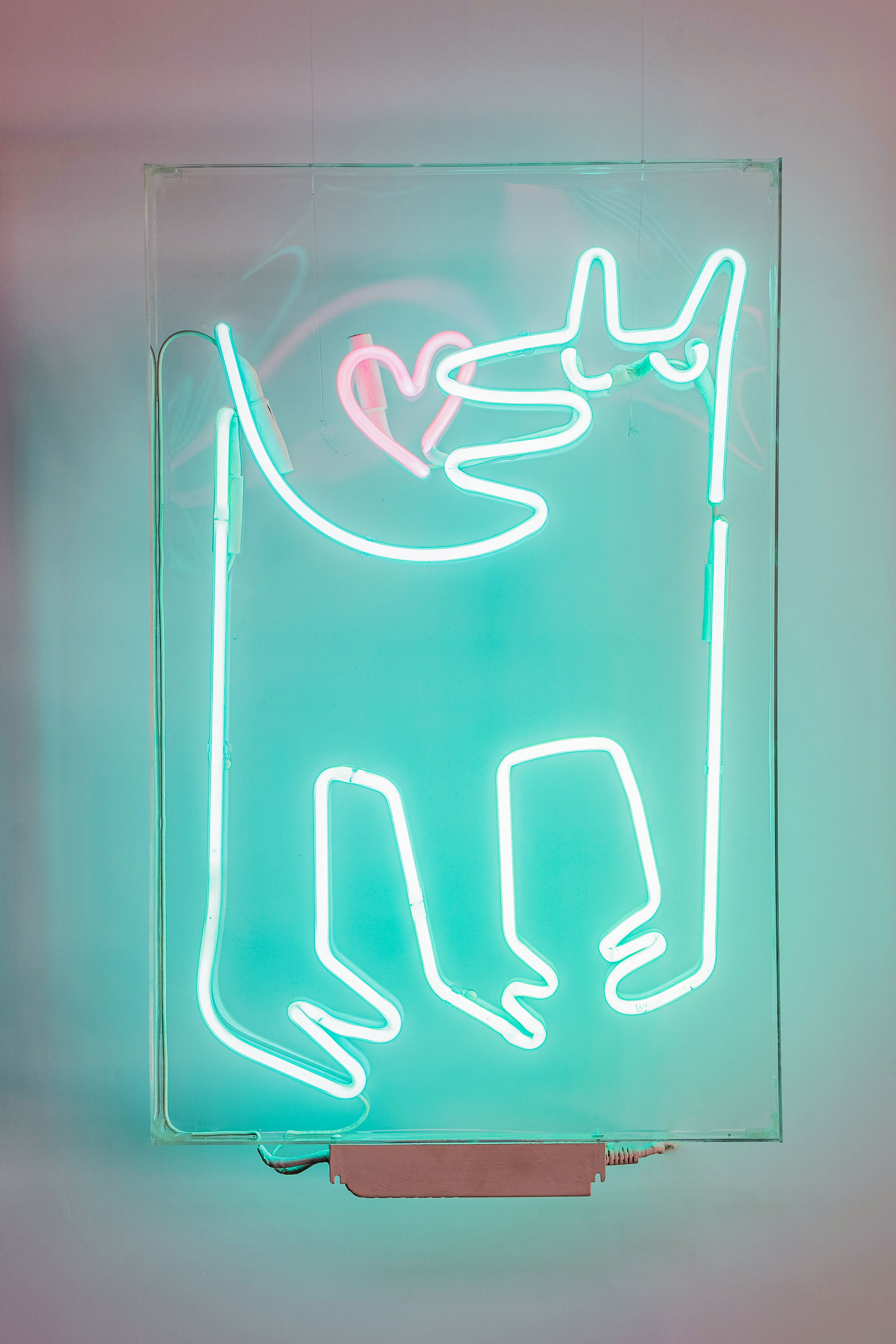 ABC Color: Sebastián Boesmi exhibe su "Orden en el Caos" con arte en diferentes formatos. 2025