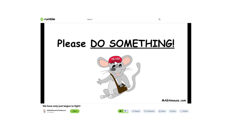 Liberty's Ember, No. 5 - November 11, 2024