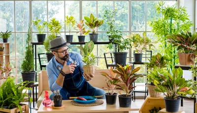 Urban Gardening Biology: Plant Biology for City Dwellers in Indoor and Small-Space Gardens