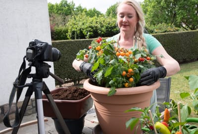 Sustainable Agriculture: Regenerative Farming and Organic Gardening Tips in 2025