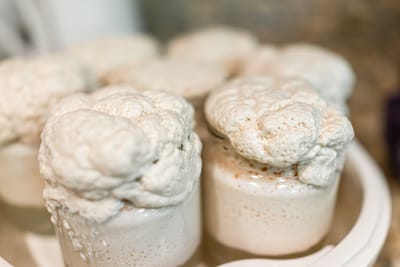 Kazakhstan's Rise in Sourdough: How Flour Choice Shapes Yeast Strains + 2026 Starter Experiments