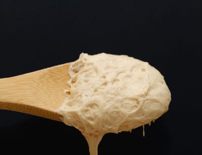 Hybrid Sourdough Magic: Blending Commercial Yeast with Wild Strains for Better Rise in 2026