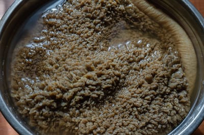 Torulaspora delbrueckii for Flavorful Bakes: Alternative Strains and Home Fermentation Hacks