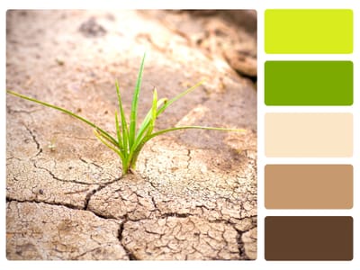 Sustainable Nature Colors: Embracing Earth-Inspired Palettes in 2026