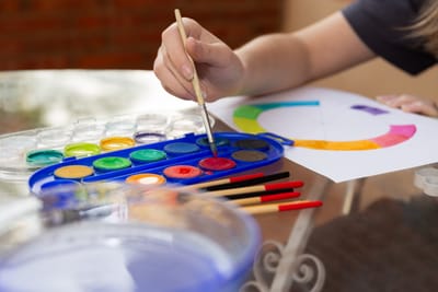 Top 12 Color Theory Rules Every Creator Should Know