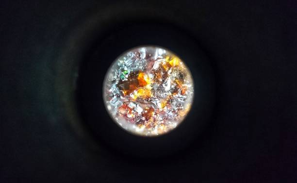 Life Under the Lens image