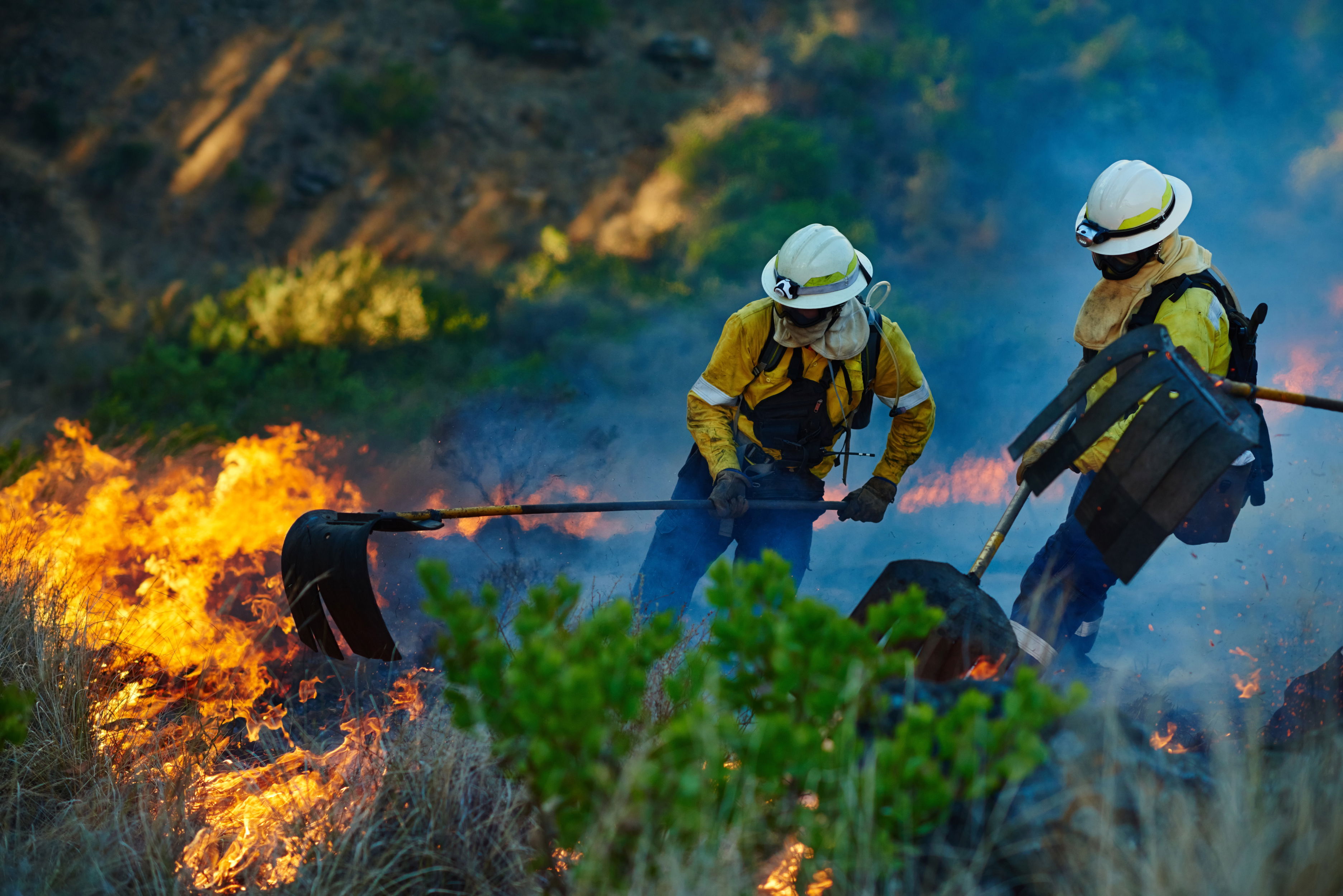 Wildfire Prevention Science – Fire-resistant landscaping and community preparedness.