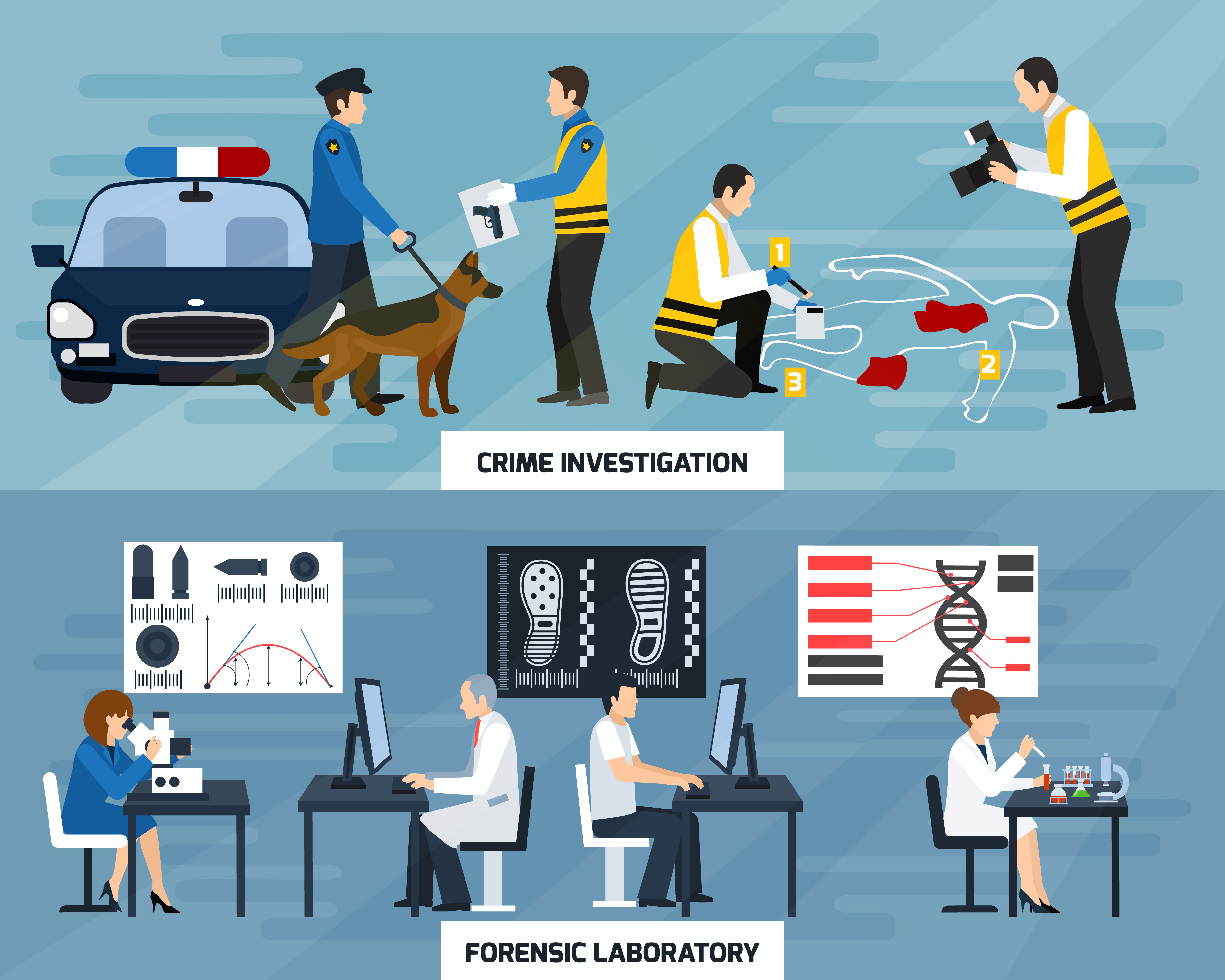 Forensic Science Basics – Crime scene analysis for enthusiasts.