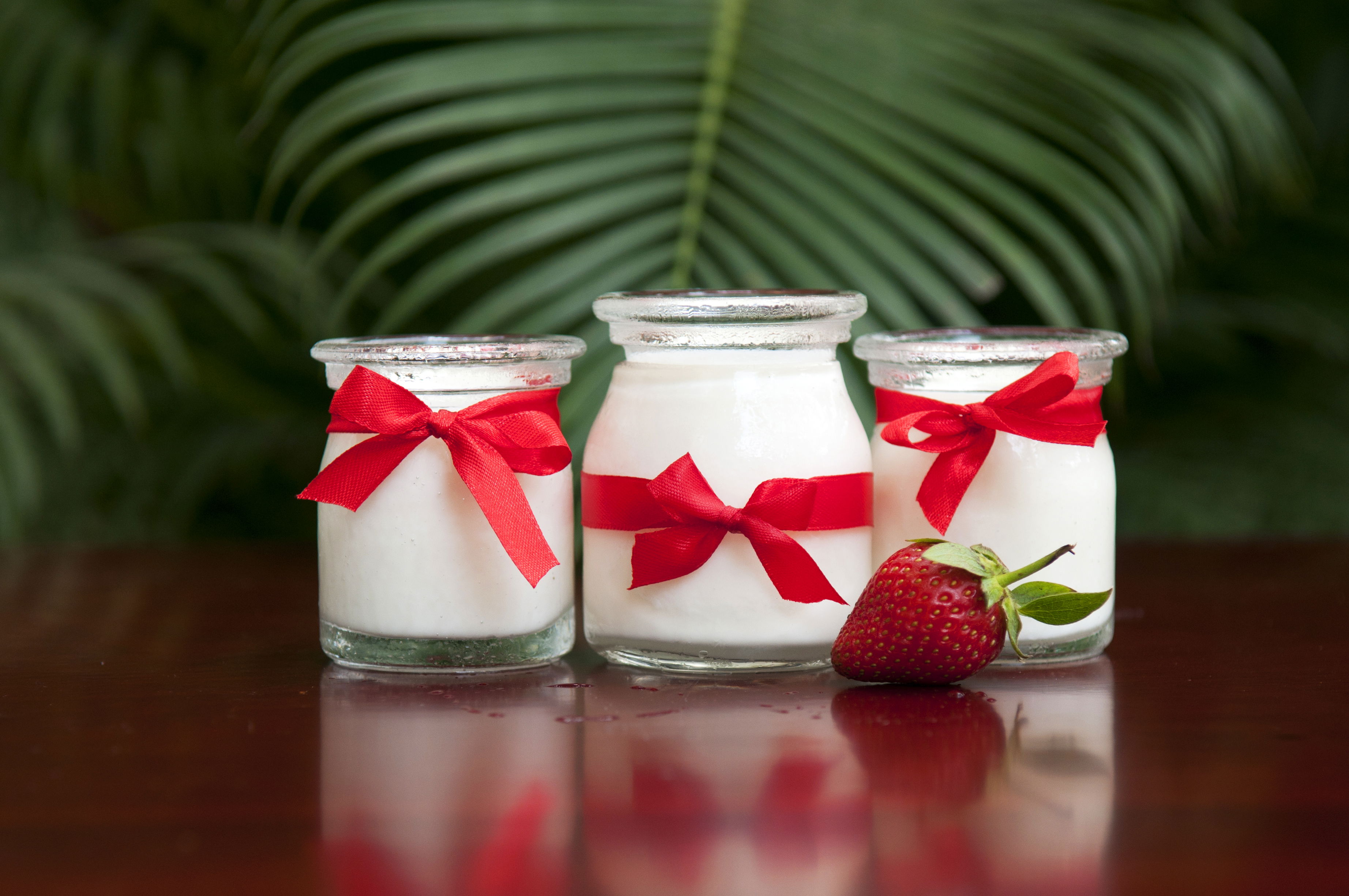 2026's Top Immune-Boosting Probiotic Strains: LRa05 and Bi-07 Explained + Easy DIY Yogurt Ferment