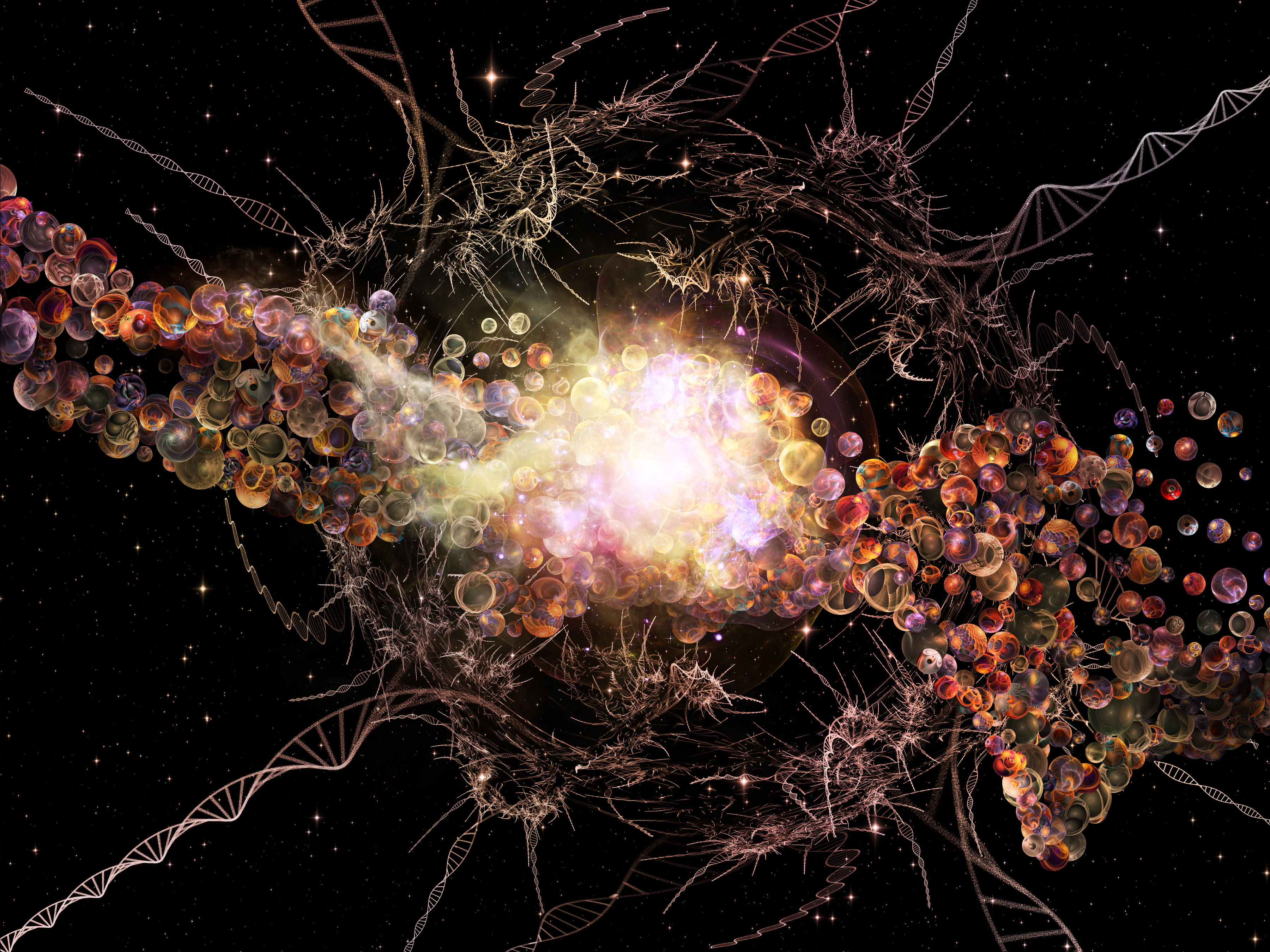 The Daily Particle