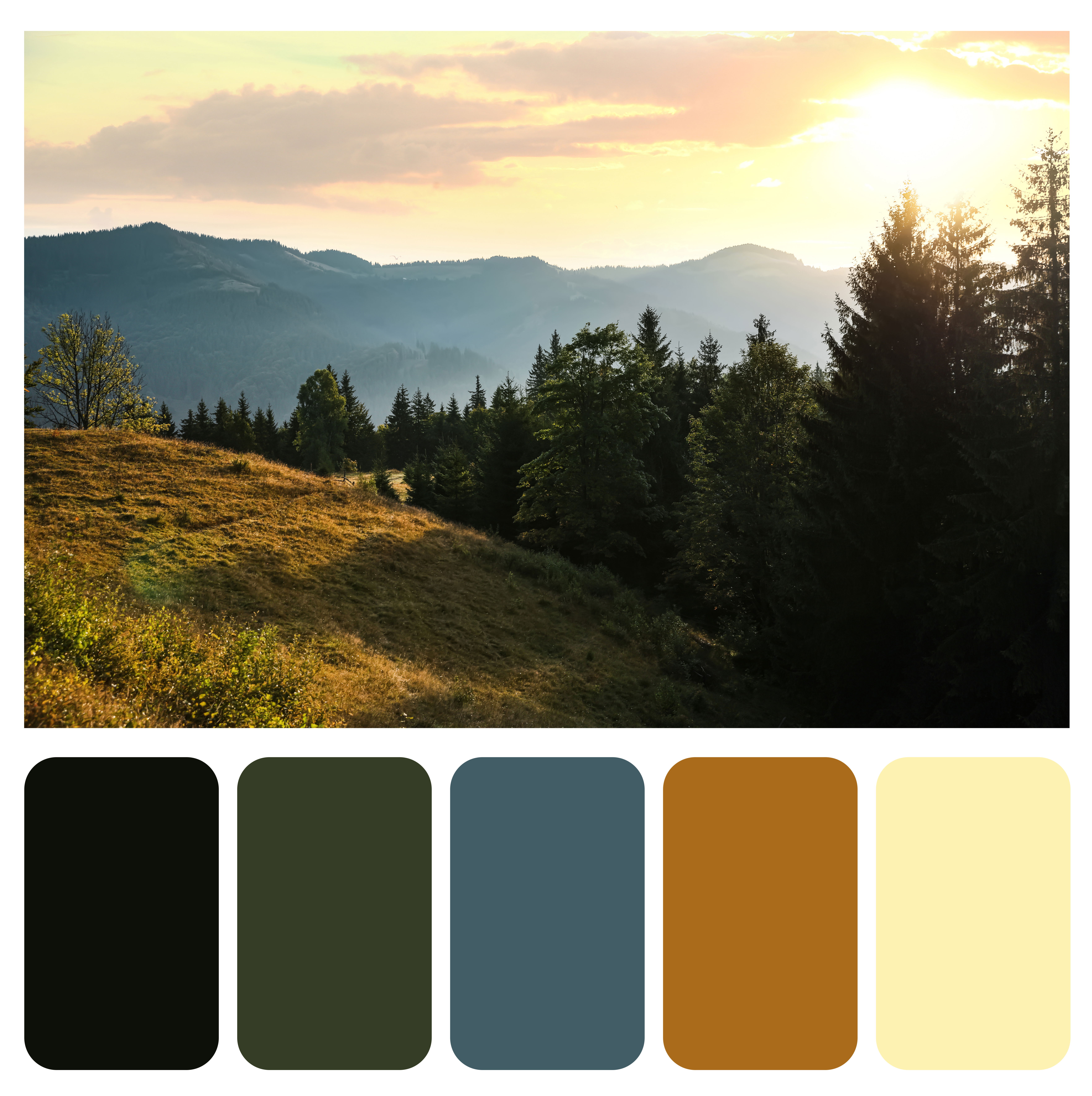 Sustainable Nature Colors