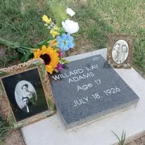 Willard Adams
