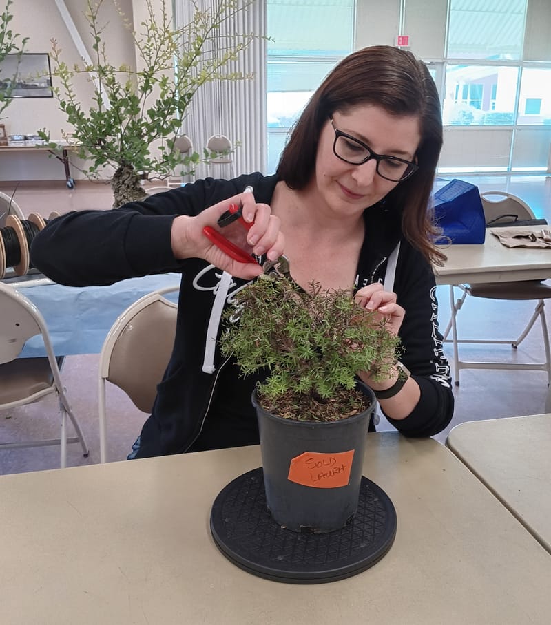 August Monthly Meeting