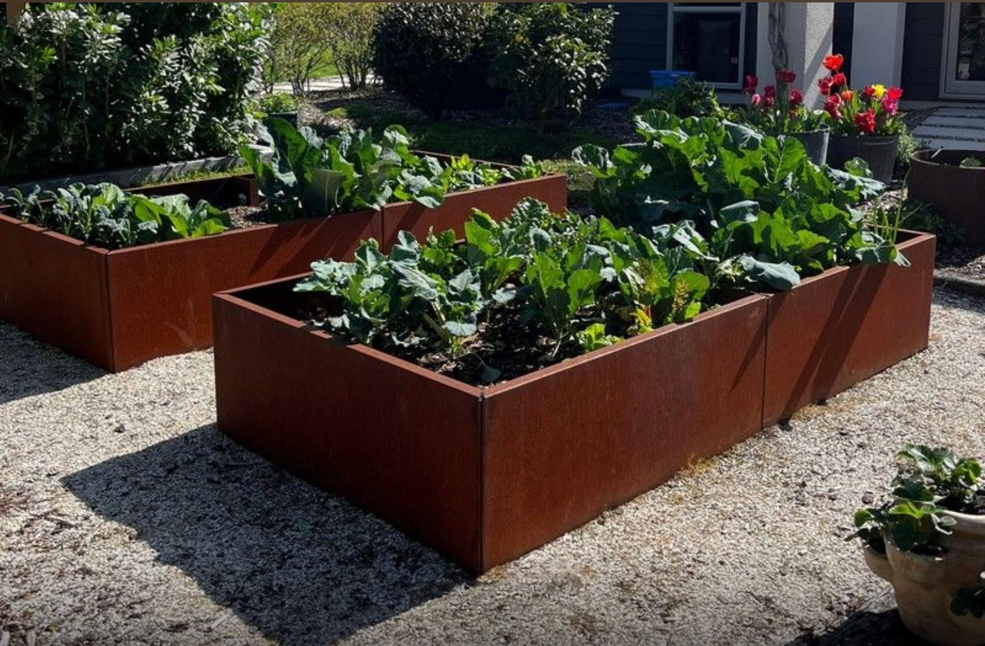 Yükseltilmiş Sebze Yatakları