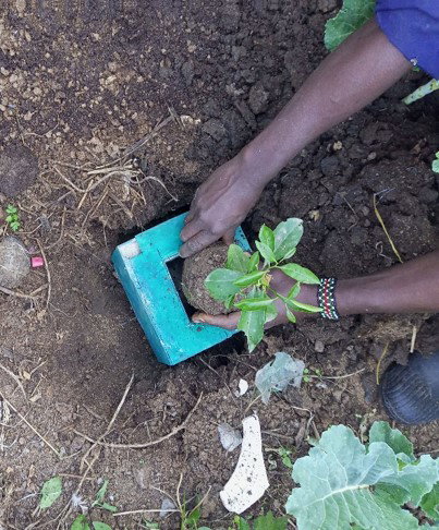 Climate Smart Agriculture