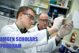 UTokyo Amgen Scholars Program 2025 in Japan (Fully Funded Internship)