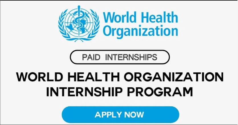 WFP Internship 2025 in New York | Fully Funded