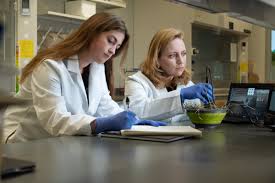 Undergraduate Research Opportunities At Purdue University