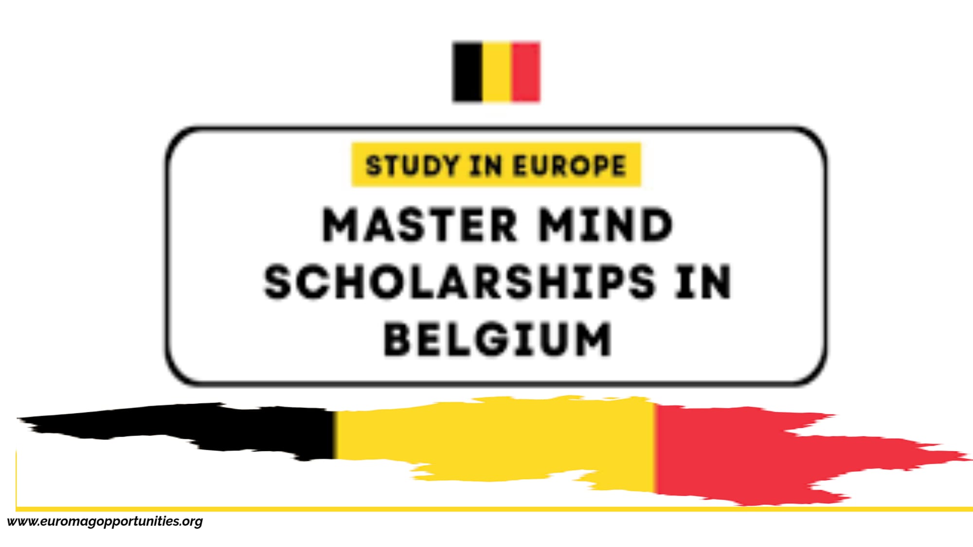 Master Mind Scholarships in Belgium 2026 | Study in Belgium