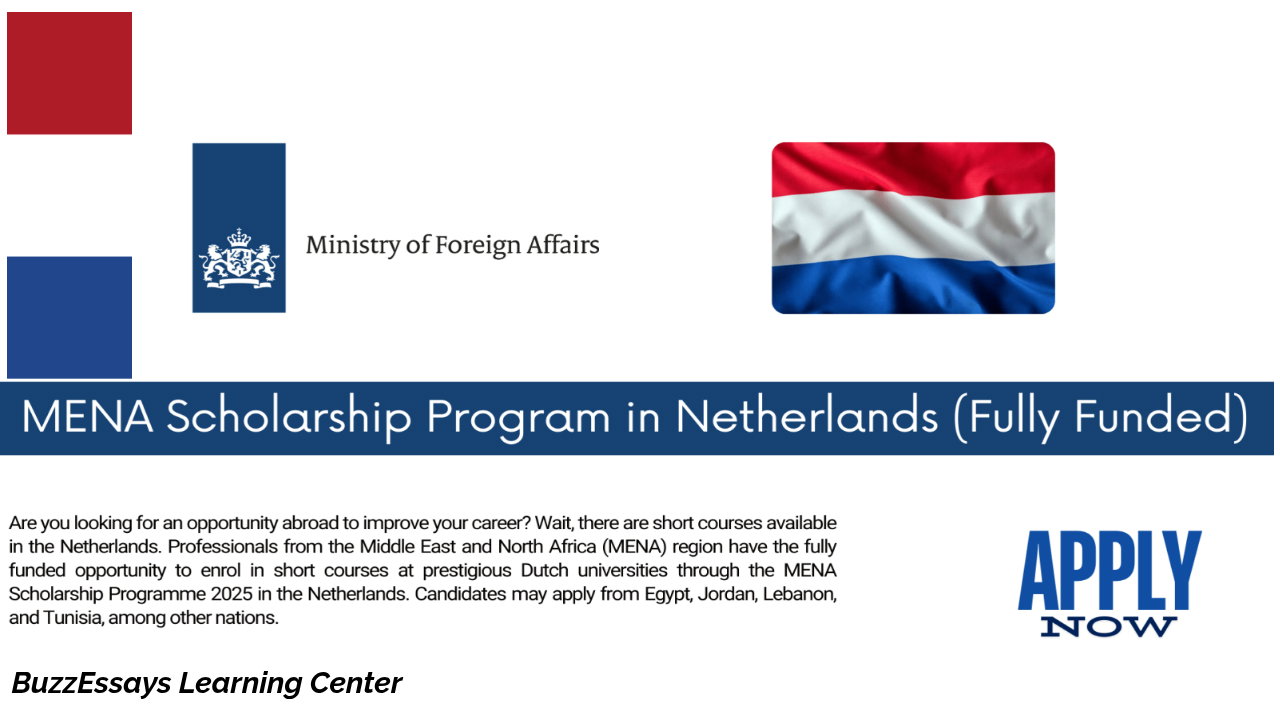 Netherlands MENA Scholarship 2026 – Apply Now