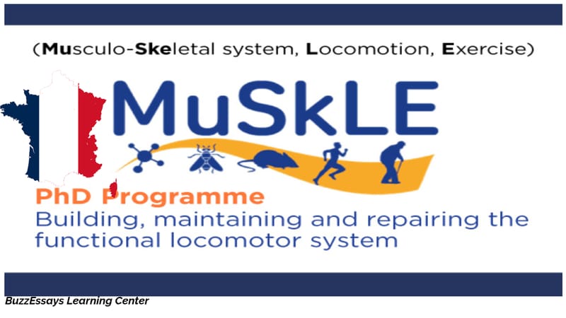 MuSkLE Fully Funded PhD in France 2026