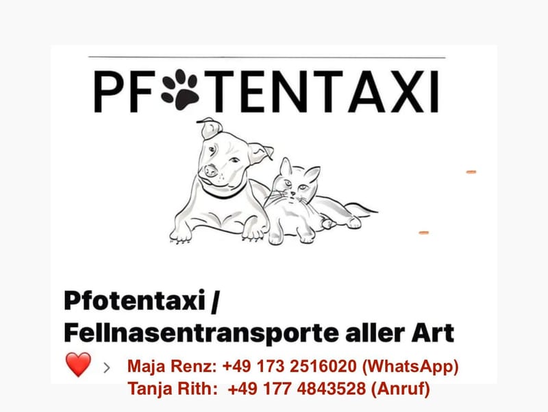 Pfotentaxi - Transport bis an die Haustür