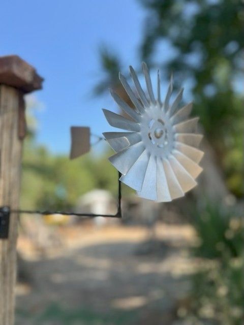 שבשבת אוסטרליה לתליה על פרגולה