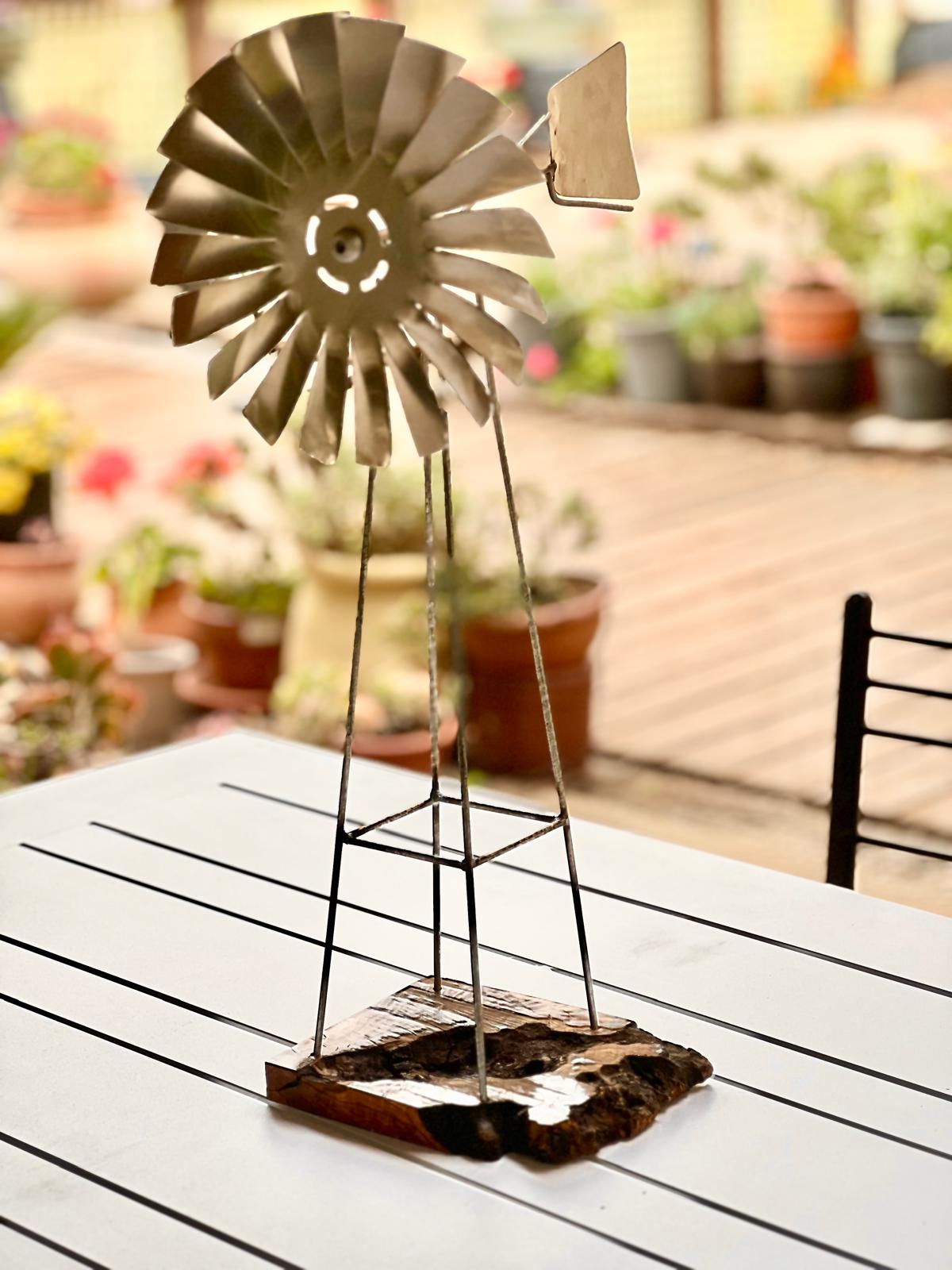 שבשבת אוסטרליה שולחנית