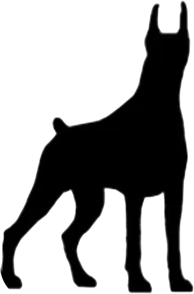 Back to Black  Dobermans ​