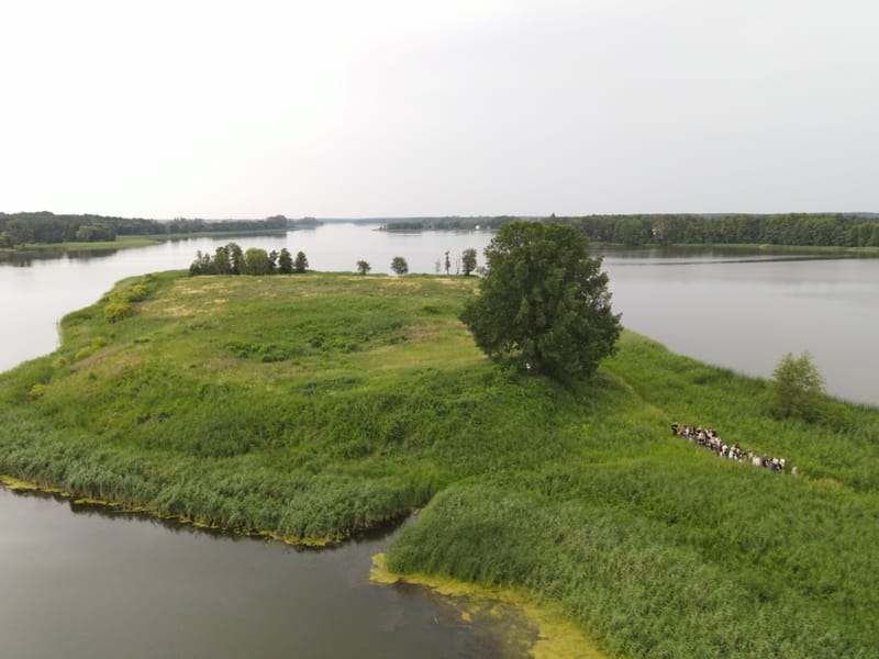 "Spacer z Pasjonatem" oczami naszego mechanicznego kruka