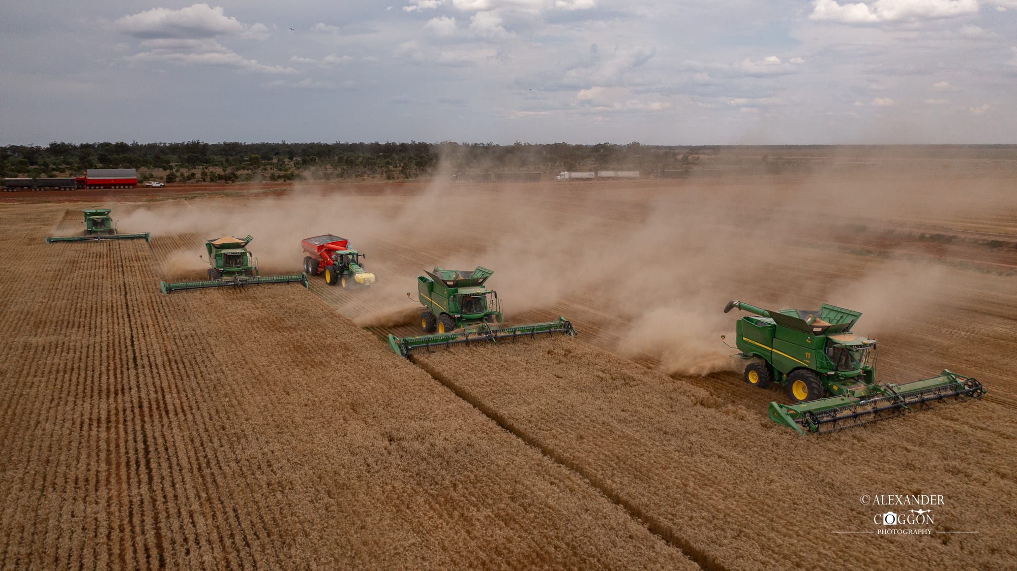 Solterra Farms Wheat Day Shots 