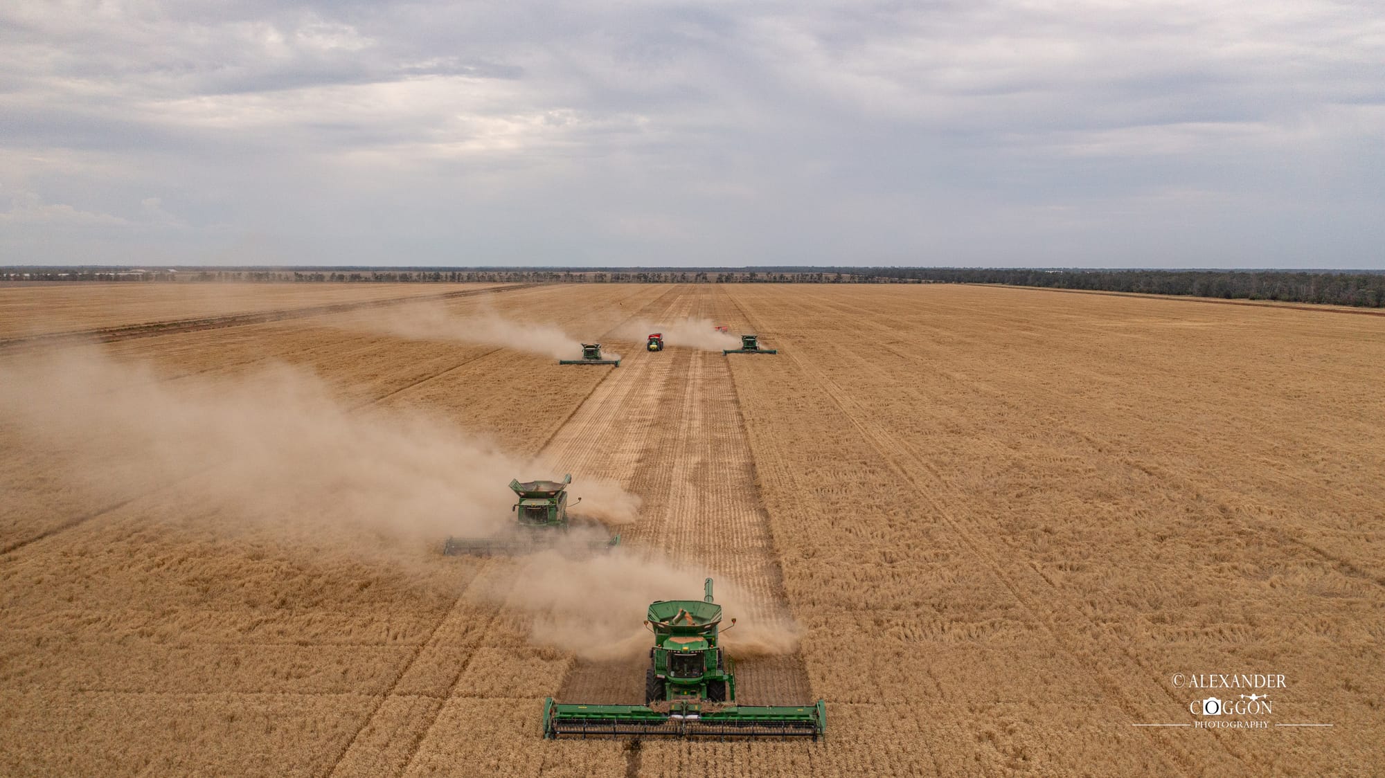 Solterra Farms Wheat Day Shots 