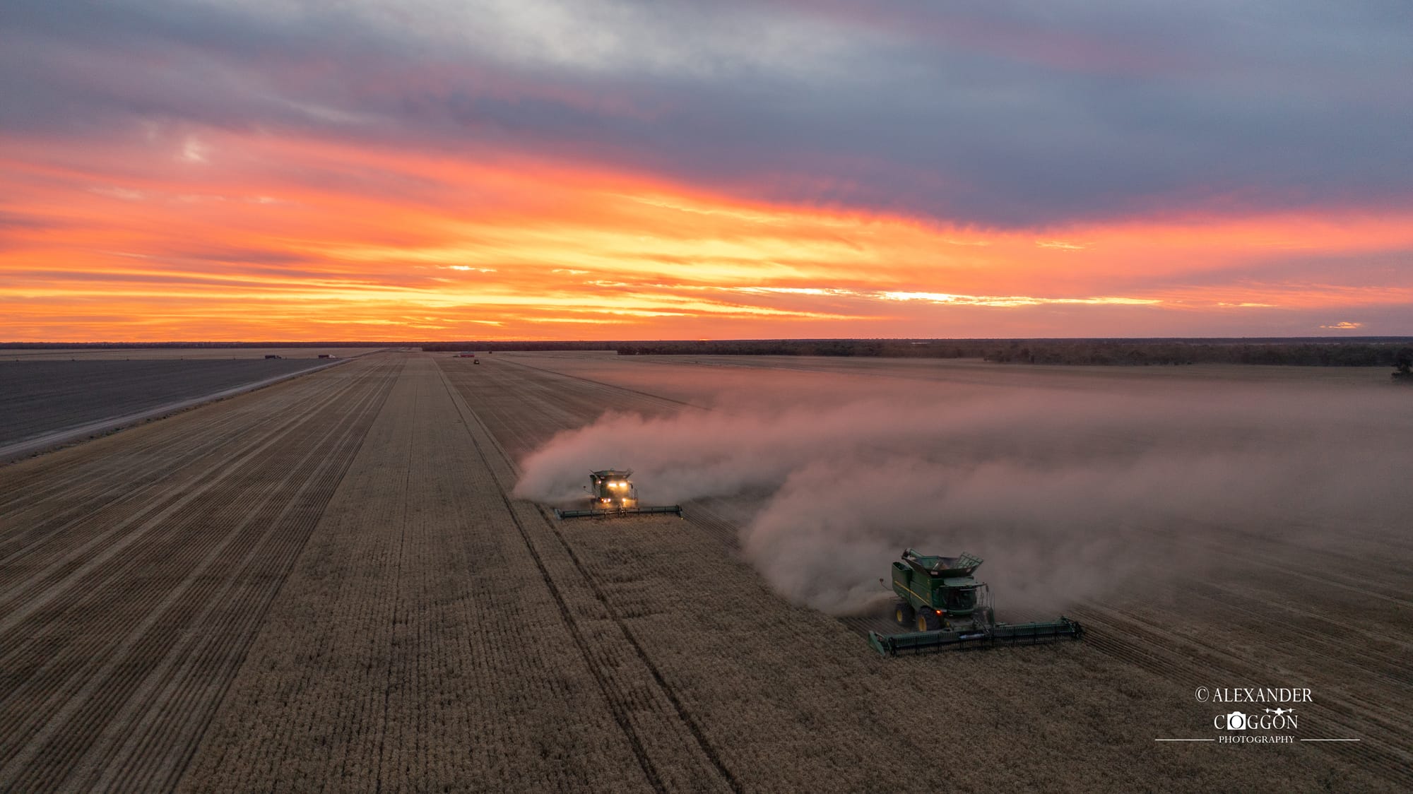 Solterra Farms Night Shots