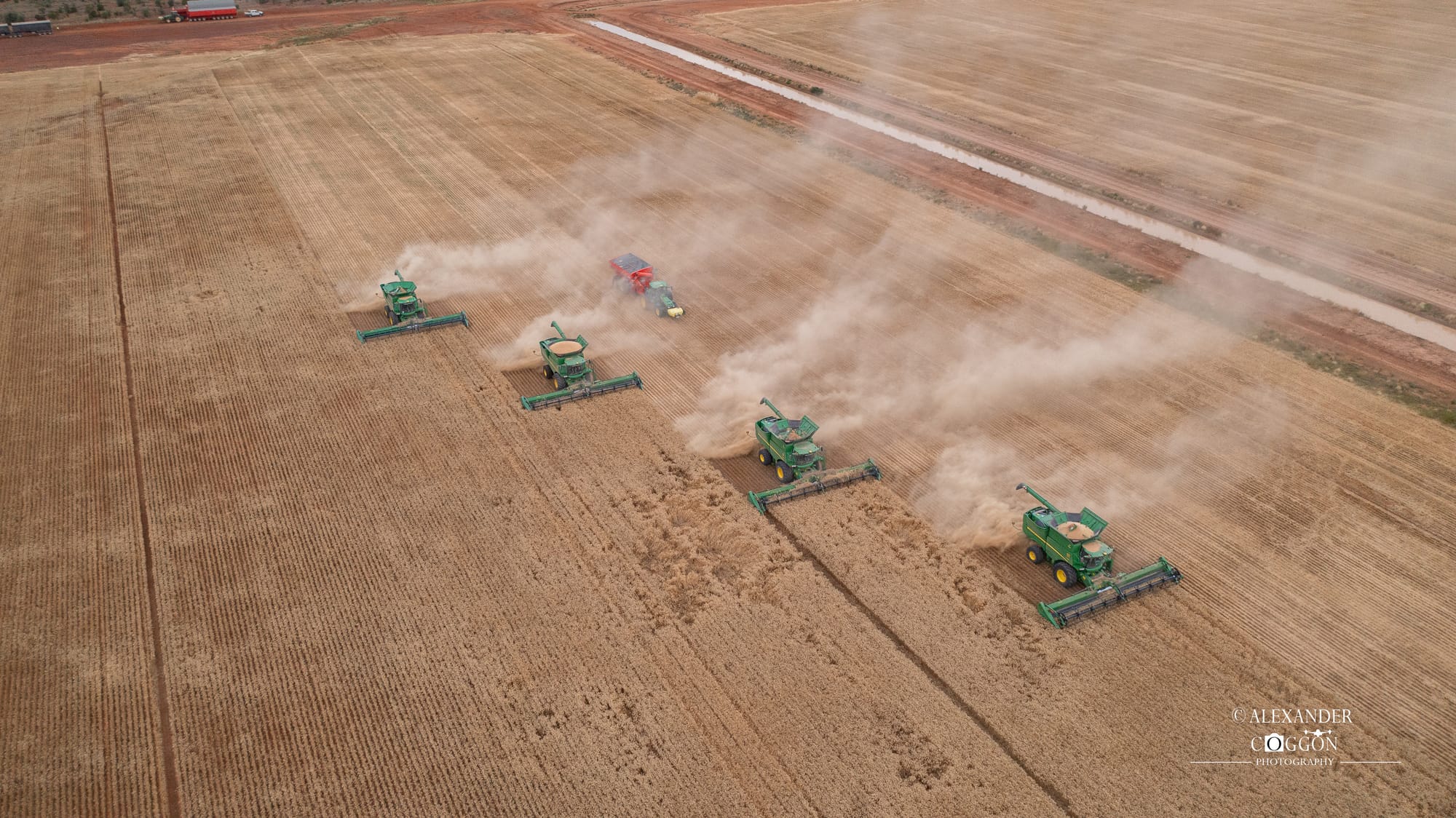 Solterra Farms Wheat Day Shots 