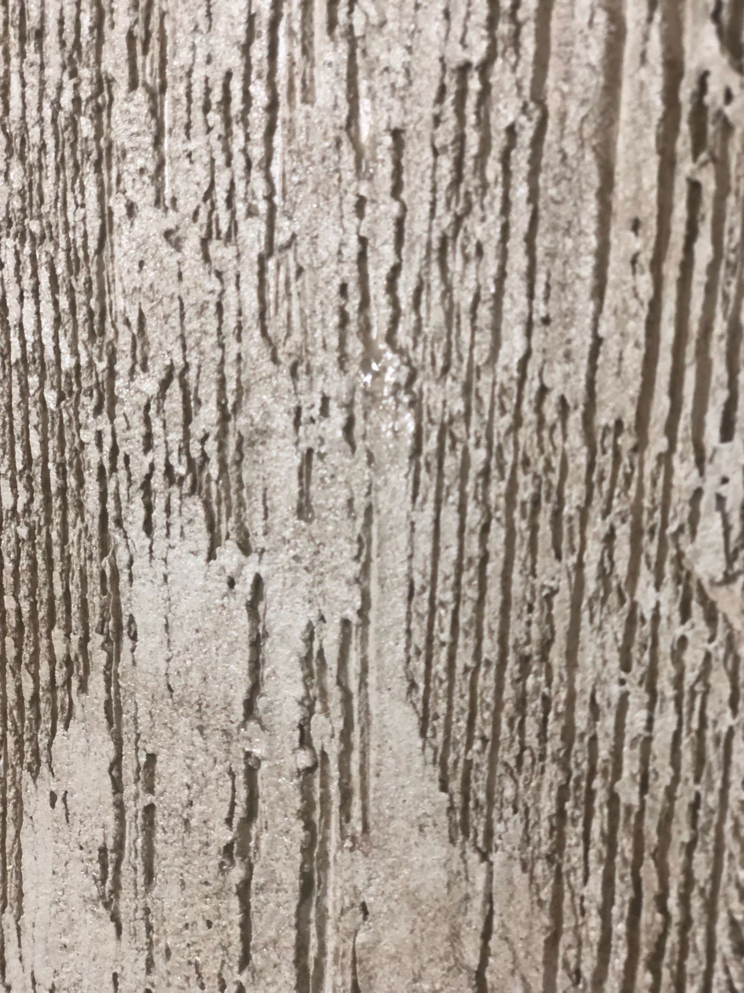 Samples wall texture