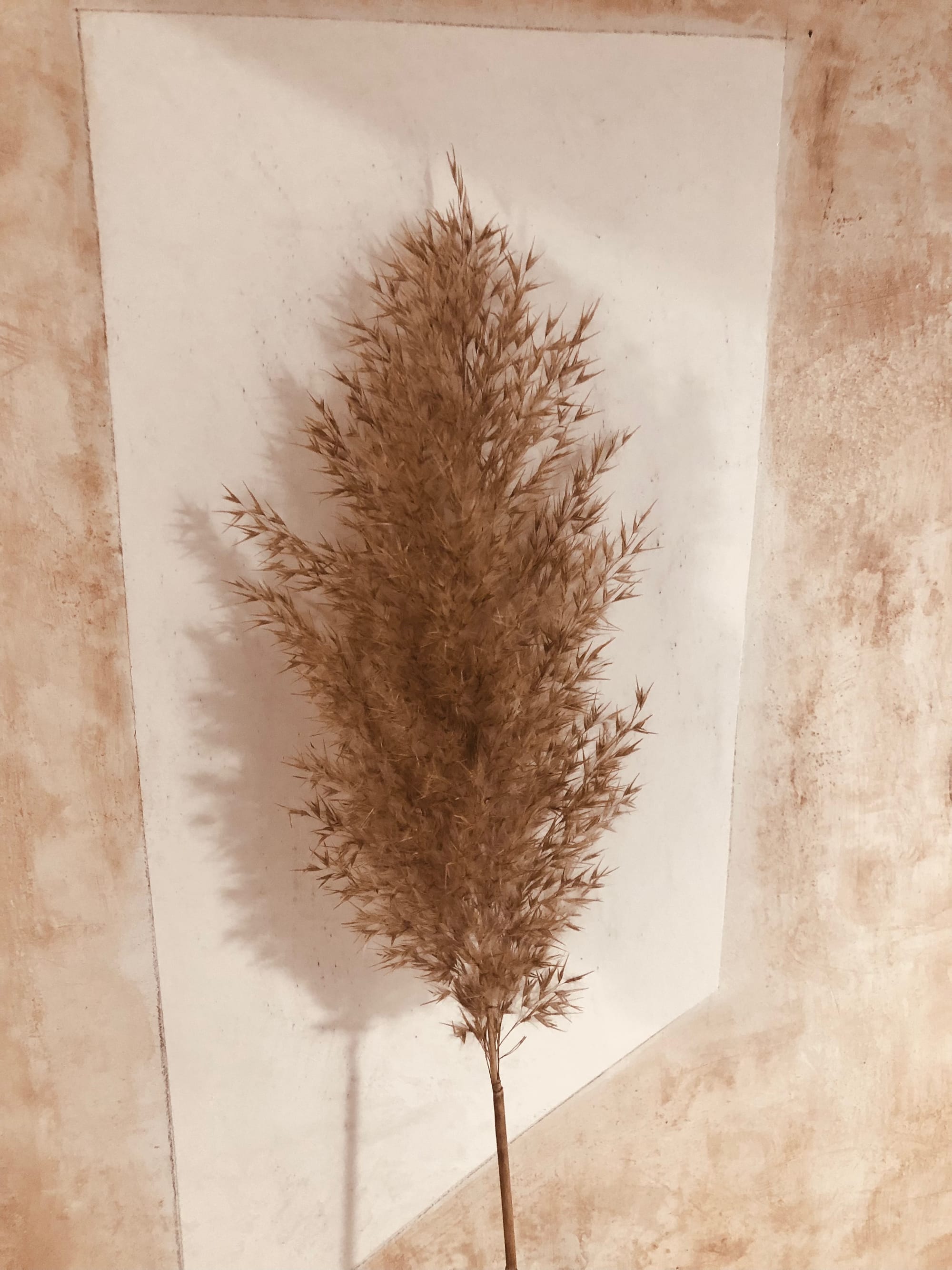 Studio Tadelakt & Marmur 