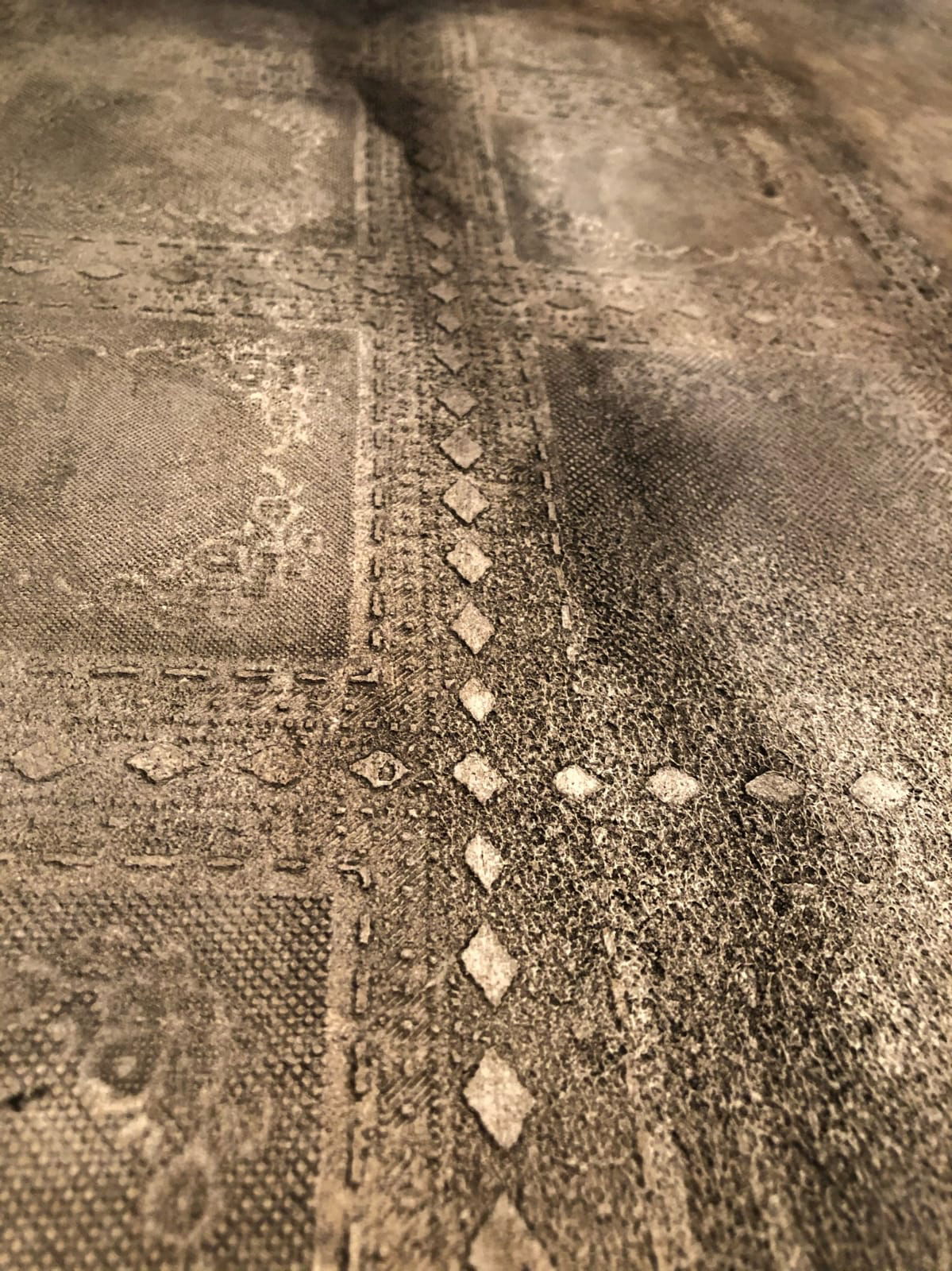 Selectii demonstrative CalceCruda 