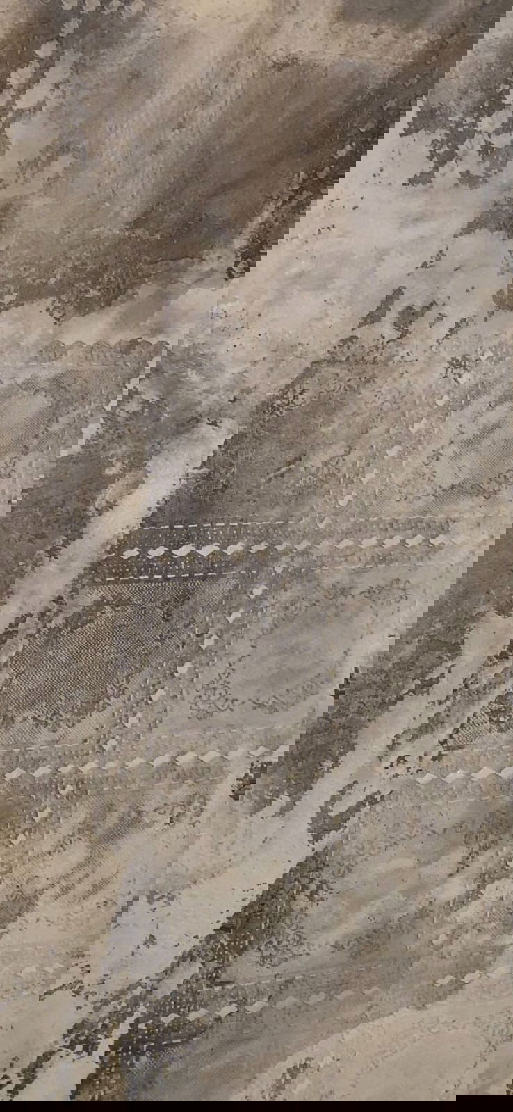 Selectii demonstrative CalceCruda 