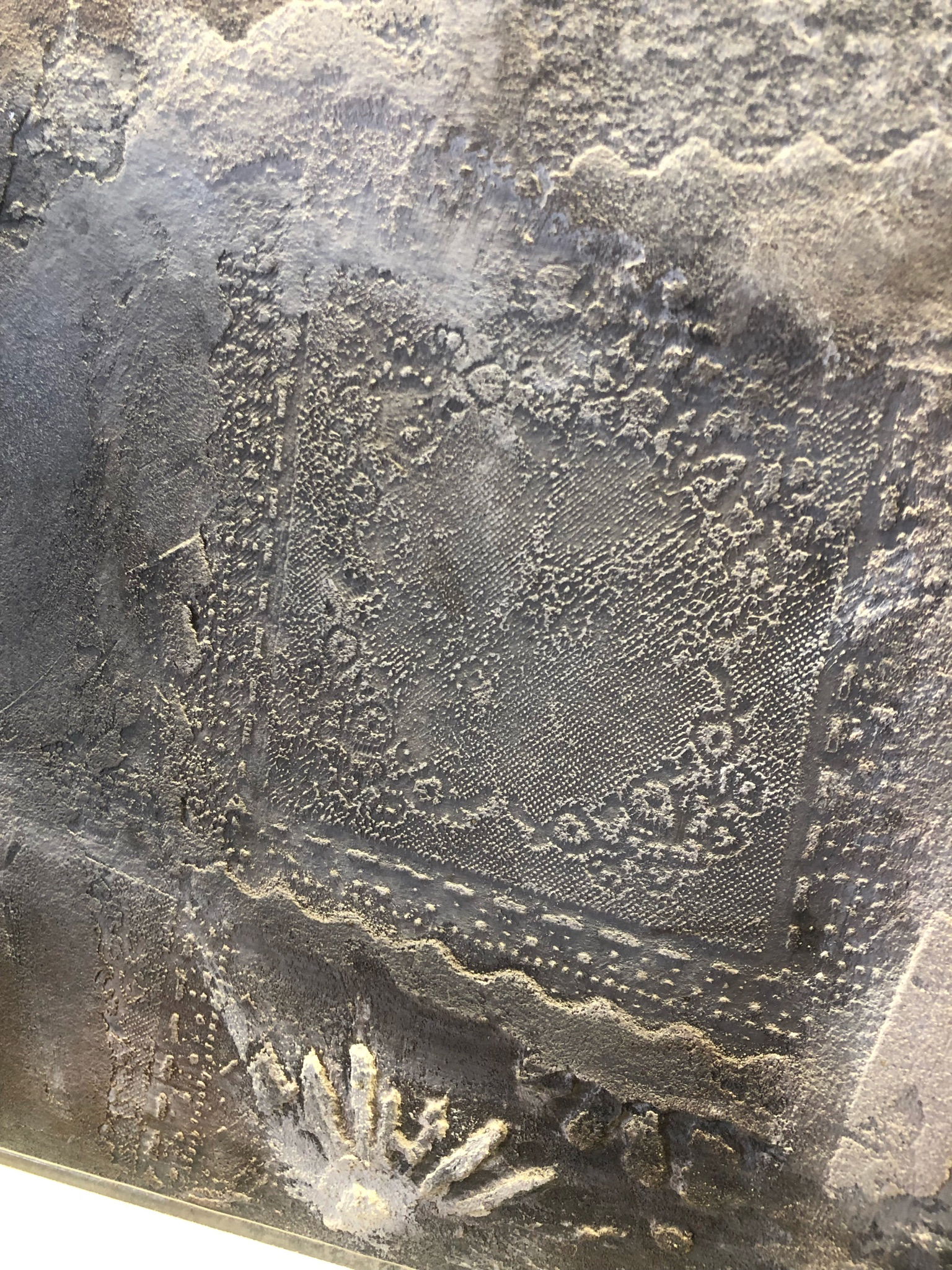 Selectii demonstrative CalceCruda 