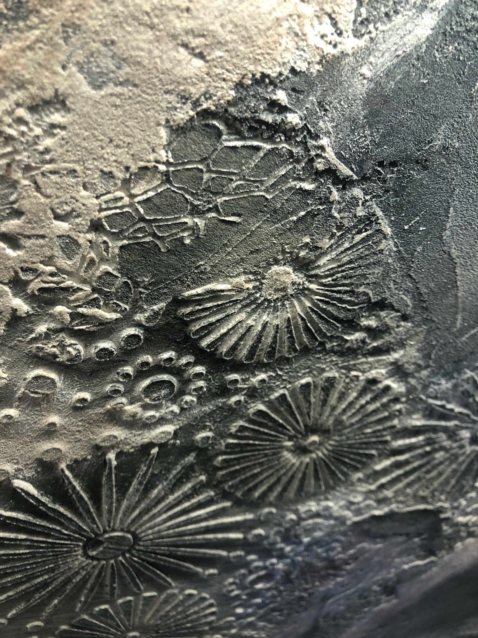 Selectii demonstrative CalceCruda 