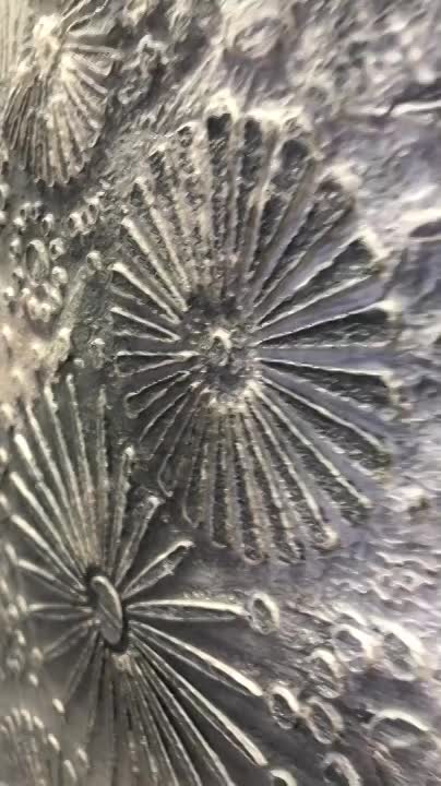 Selectii demonstrative CalceCruda 