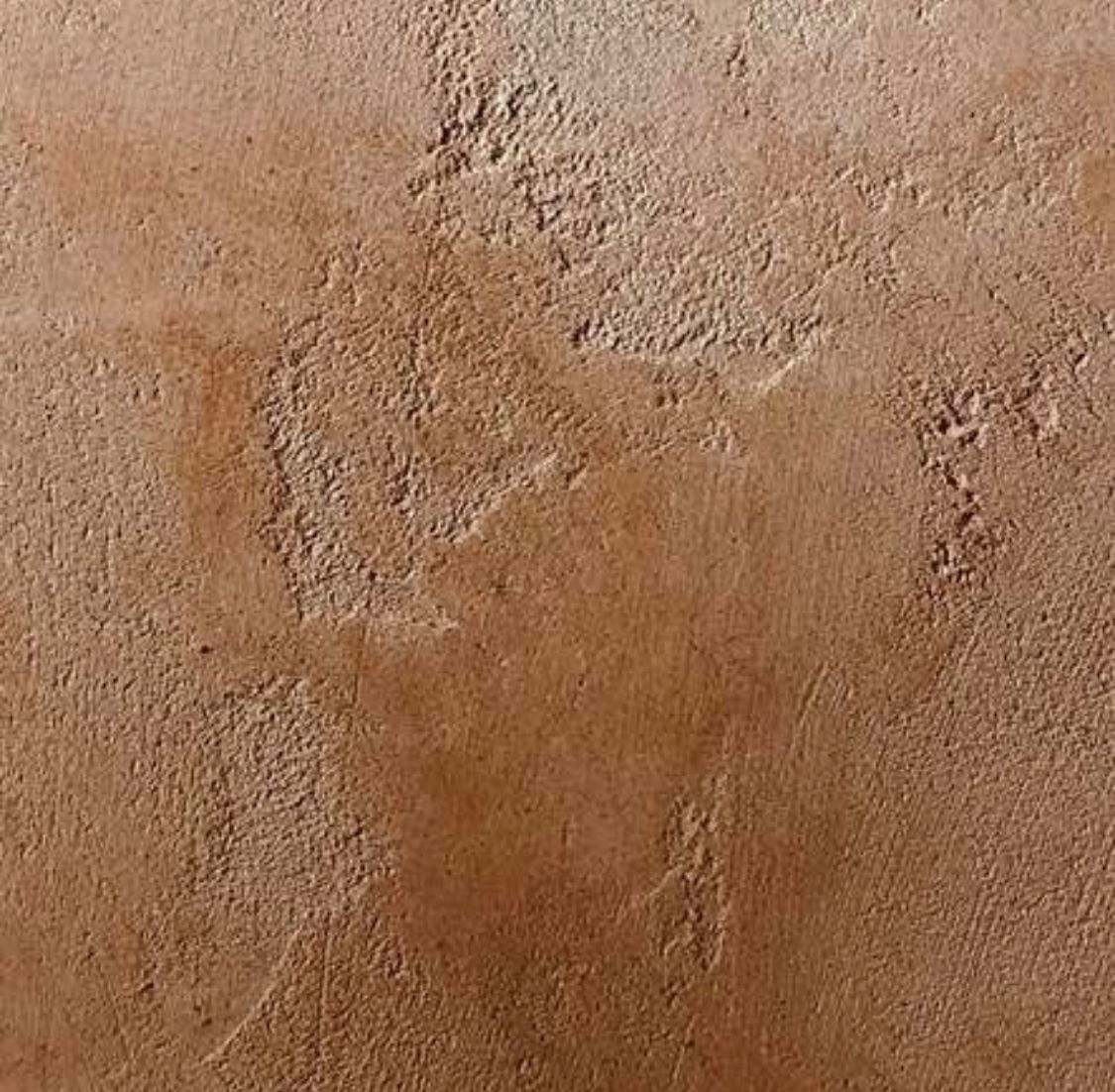 Selectii demonstrative CalceCruda 